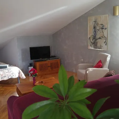 Sun * Zára