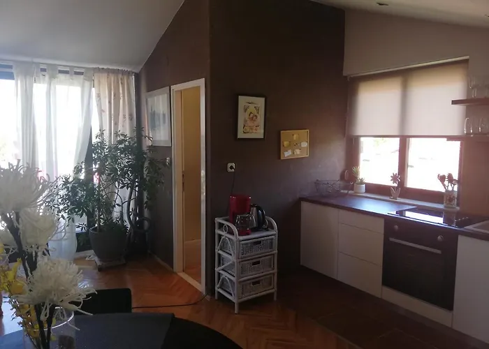 Sun 公寓 扎达尔